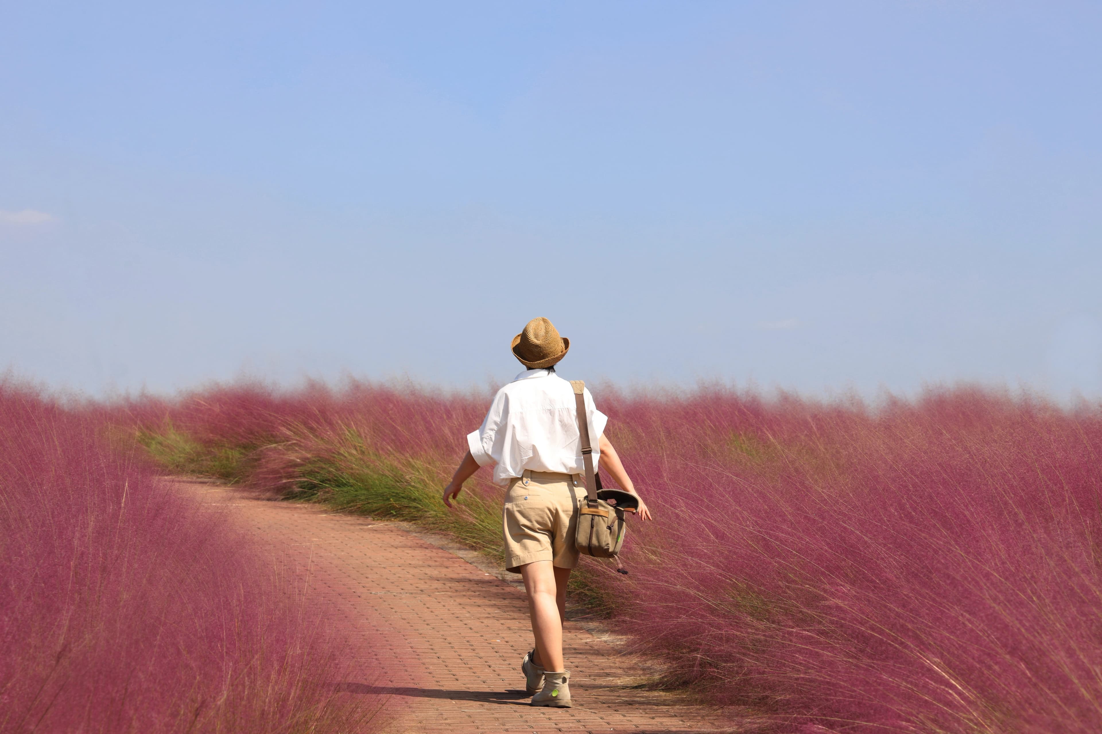 Walk on grassland